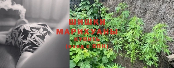 не бодяженный Магадан