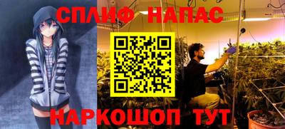 сатива Бузулук