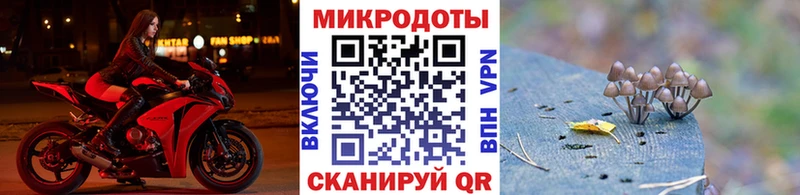 Галлюциногенные грибы Psilocybe  Обнинск 