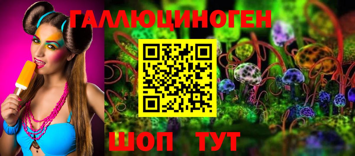 Псилоцибиновые грибы Psilocybine cubensis Обнинск